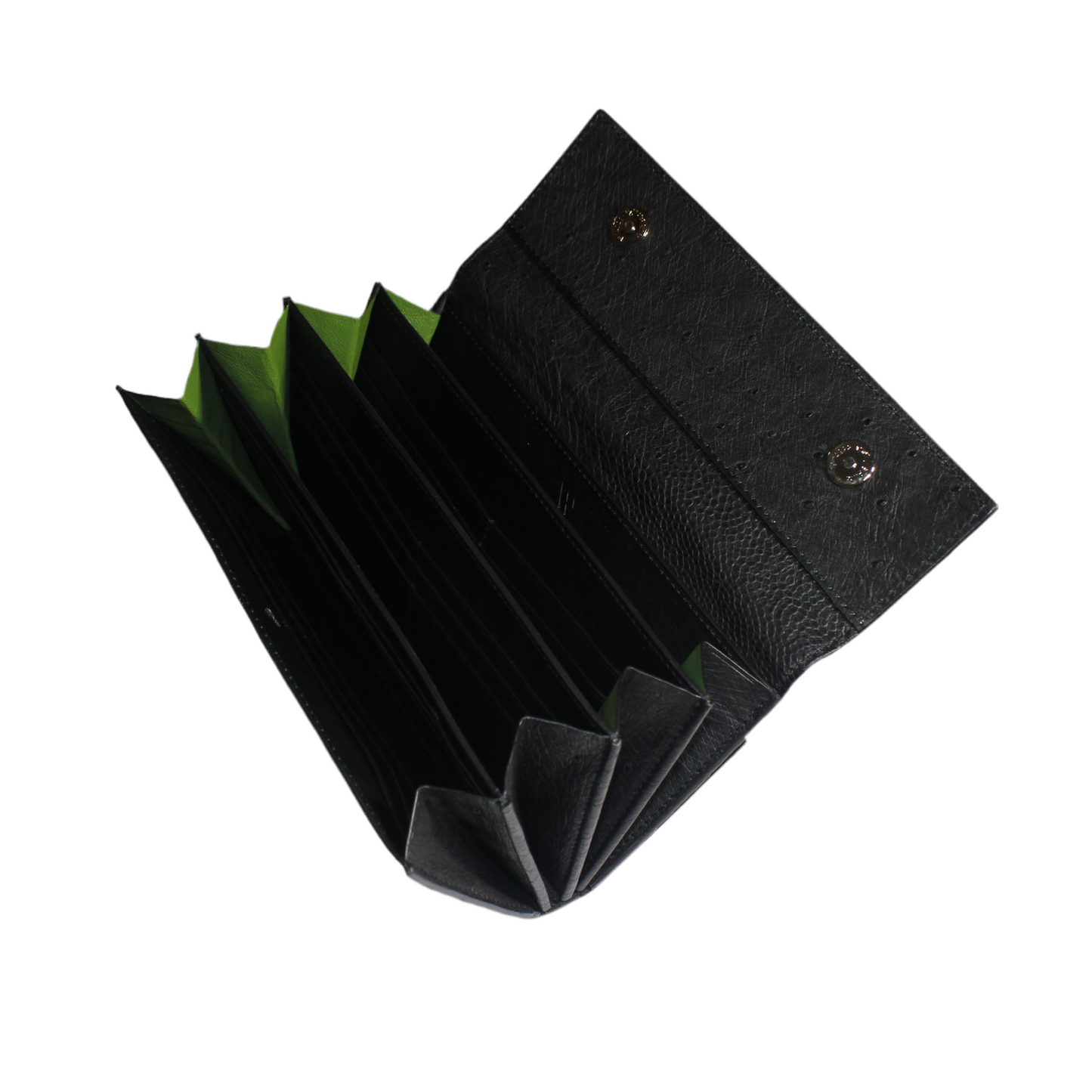 Mississippi Ostrich leather quill