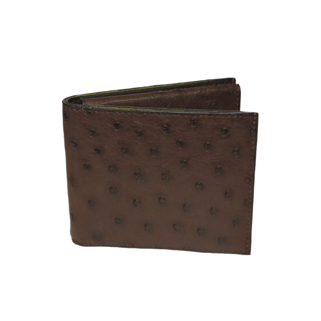 Boston Ostrich leather quill