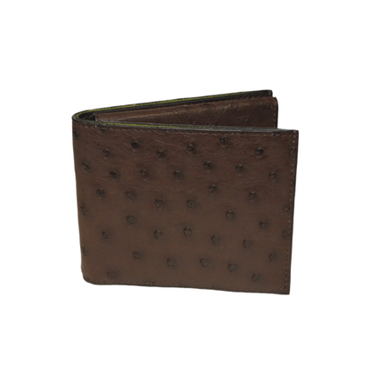 Boston Ostrich leather quill
