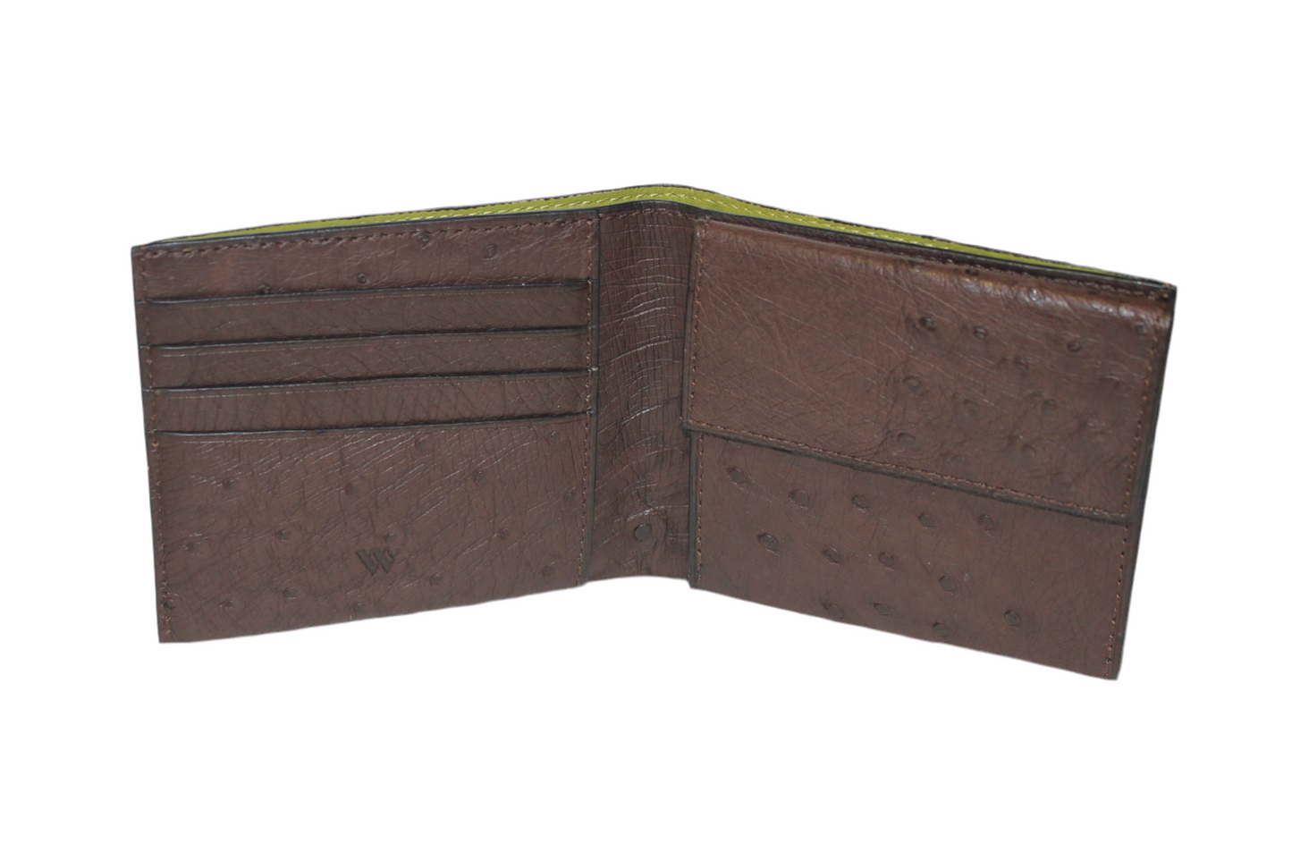 Boston Ostrich leather quill