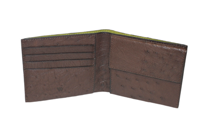 Boston Ostrich leather quill