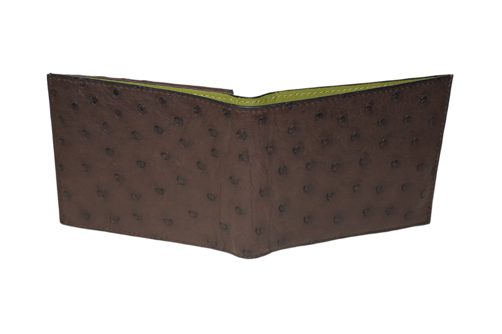 Boston Ostrich leather quill