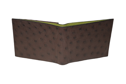 Boston Ostrich leather quill