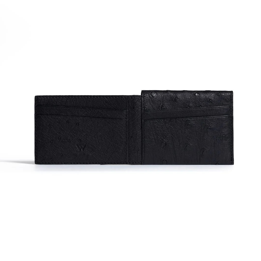 Montana Ostrich leather quill